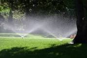 Summer Water Conservation
