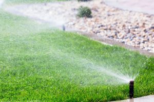 DHI Sprinkler System