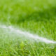 … Provide healthy green grass