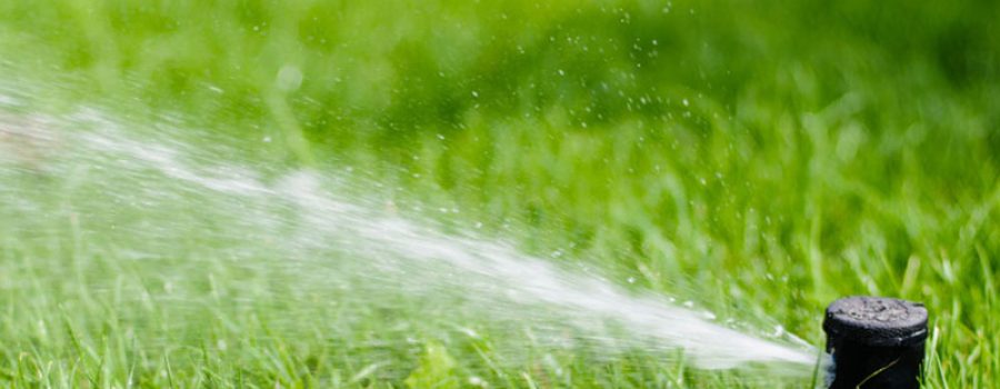 Provide Healthy Green Grass