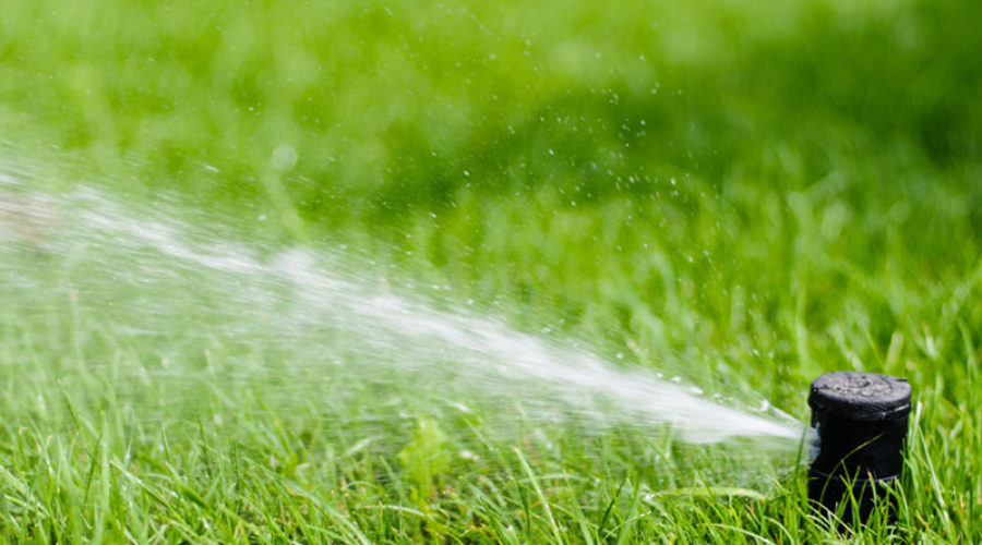 Provide Healthy Green Grass