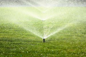 Reduce Your Water Bill
