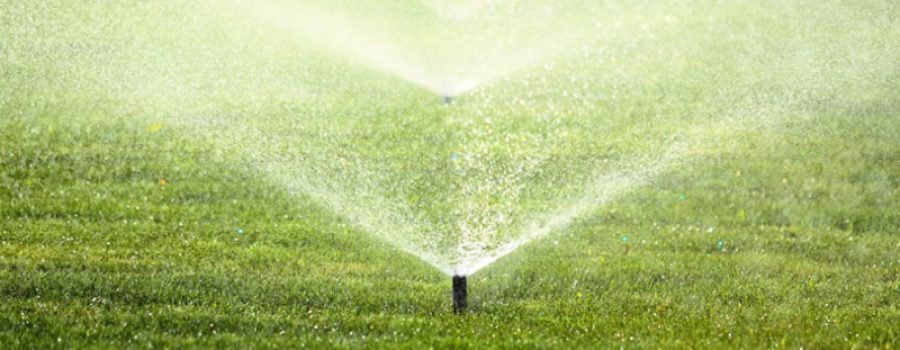 Reduce Your Water Bill