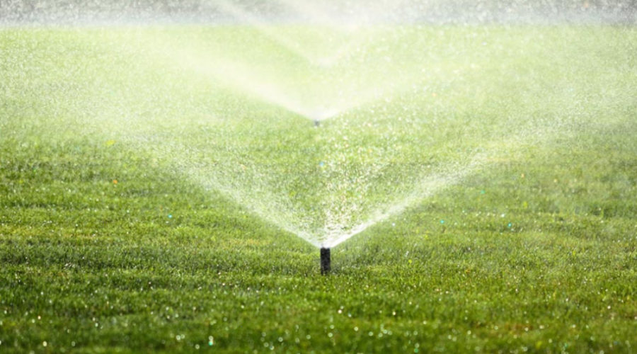 Reduce Your Water Bill